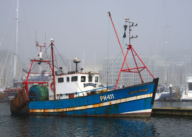 Chris Day | Silver Stream