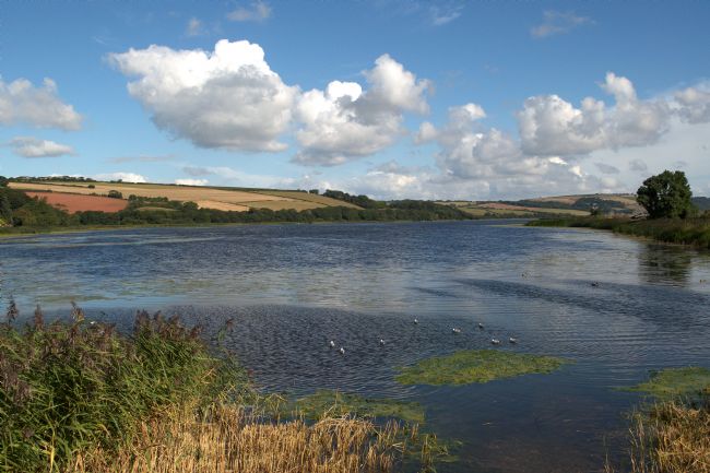 Chris Day | Slapton Ley