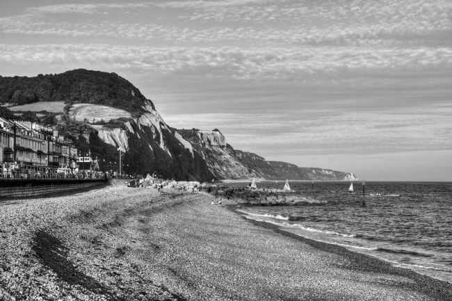 Chris Day | Sidmouth beach
