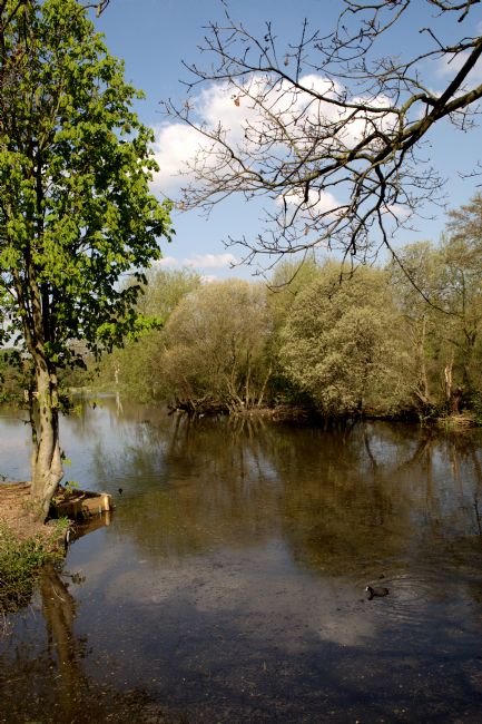 Chris Day | Little Britain