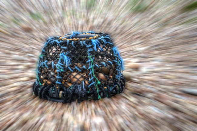 Chris Day | Lobster Pot on Sidmouth Beach