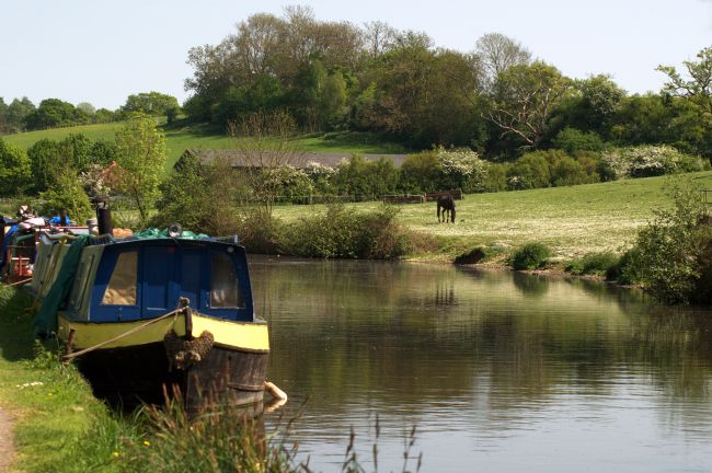 Chris Day | Springtime by the Canal