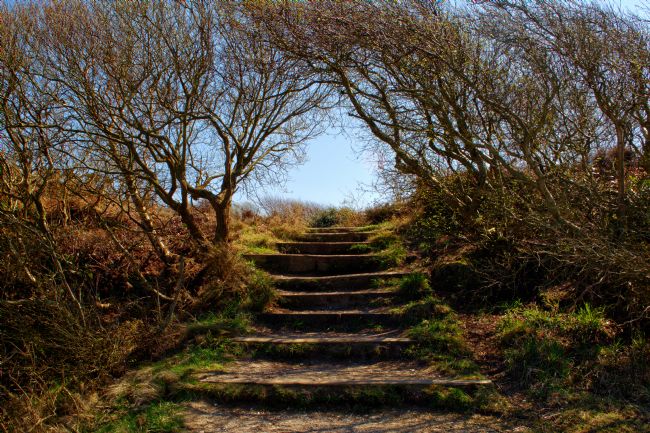 Chris Day | Stairway to Heaven