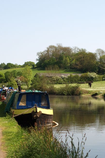 Chris Day | Springtime by the Canal