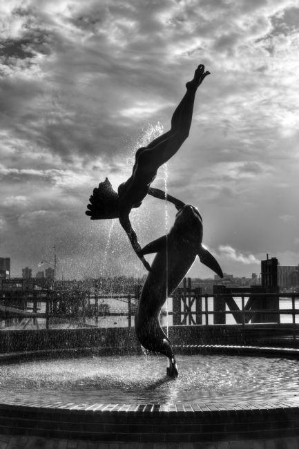 Chris Day | Diver and Dolphin