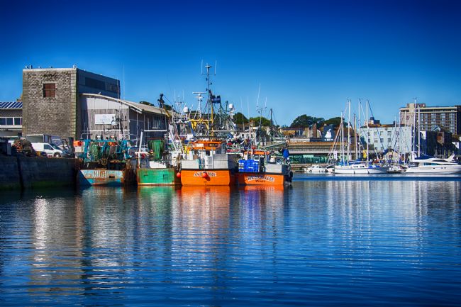 Chris Day | Sutton Harbour
