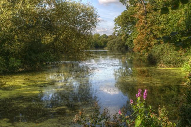 Chris Day | Little Britain