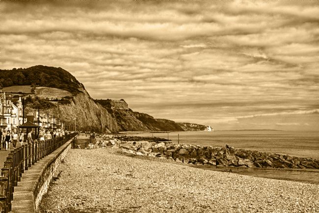 Chris Day | Sidmouth Beach