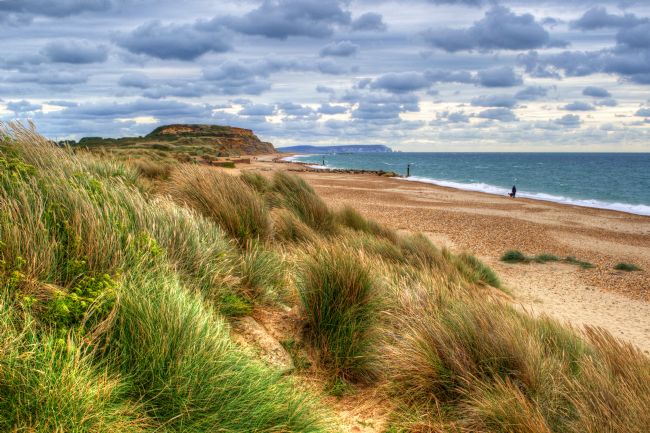 Chris Day | Hengistbury Head