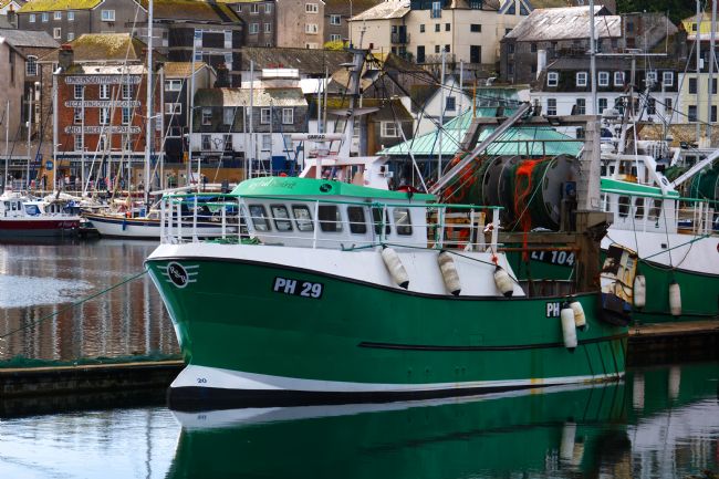 Chris Day | Joyful Spirit