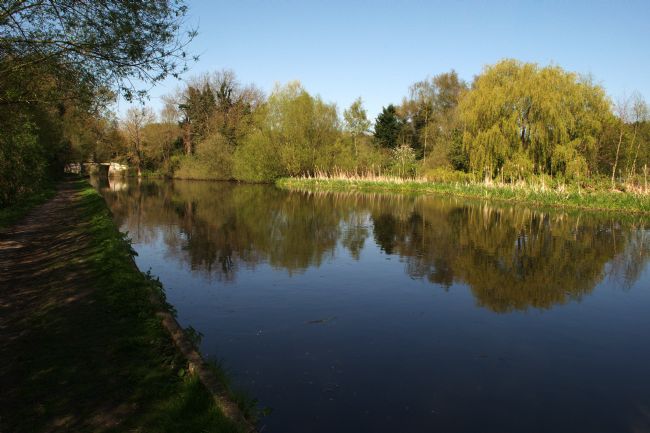 Chris Day | Reflective Mood