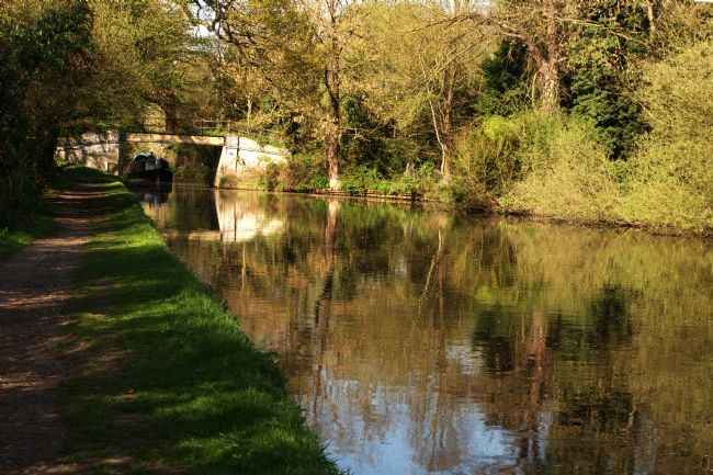 Chris Day | Calm reflections