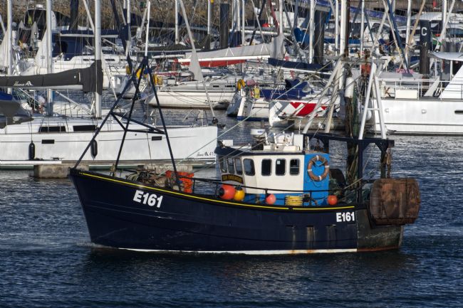 Chris Day | Our Endeavour