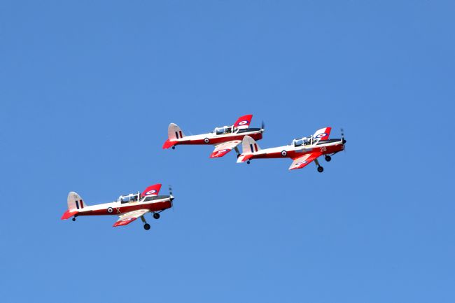 Chris Day | Chipmunk T10 Display