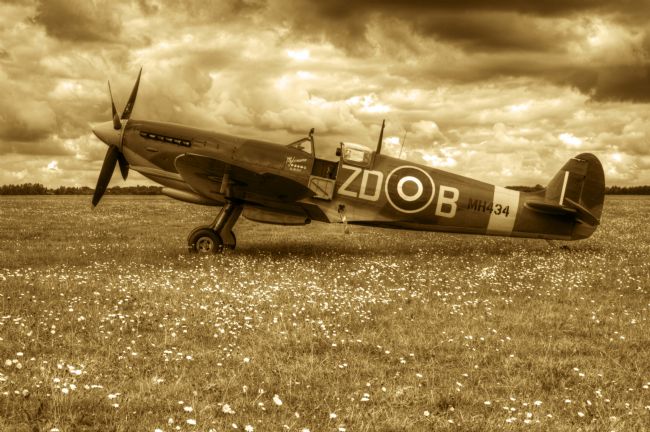 Chris Day | Spitfire Mk IXB