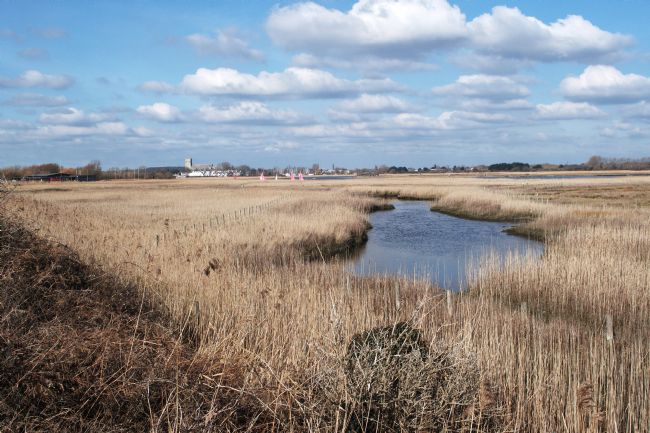 Chris Day | Reed Beds