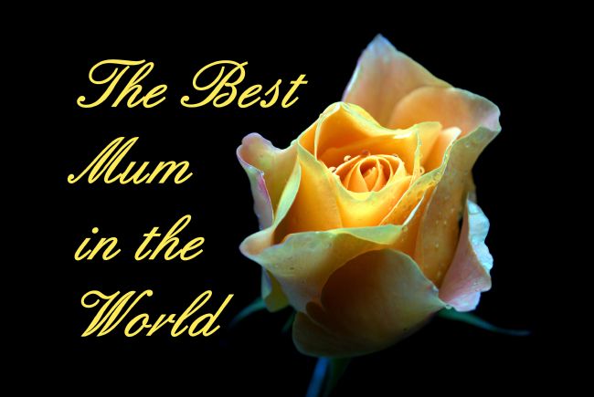 Chris Day | Best mum in the world