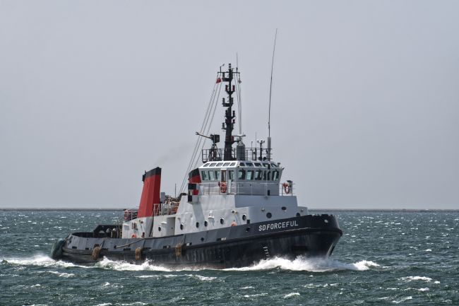 Chris Day | SD Forceful