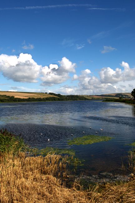 Chris Day | Slapton Ley