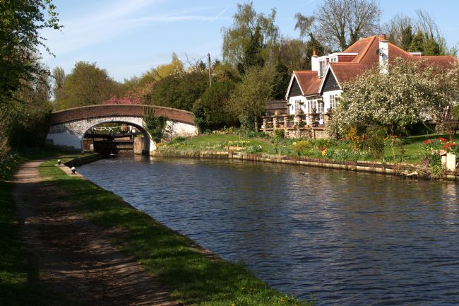 Chris Day | Black Jacks on the Grand Union