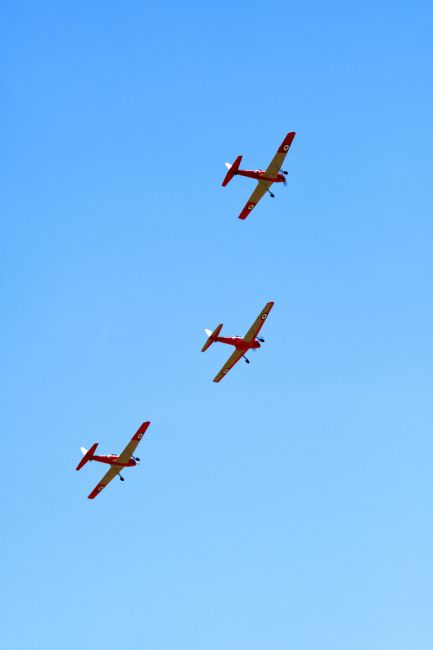 Chris Day | Chipmunk T10 Display