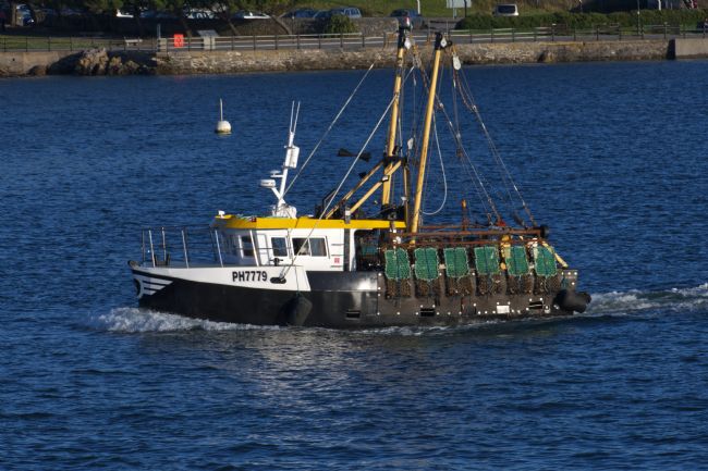 Chris Day | PH7779 Barbican Rose