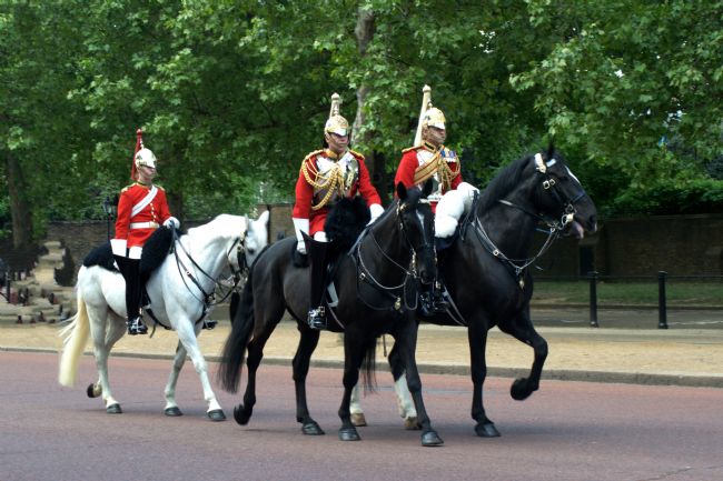 Chris Day | Household Cavalry