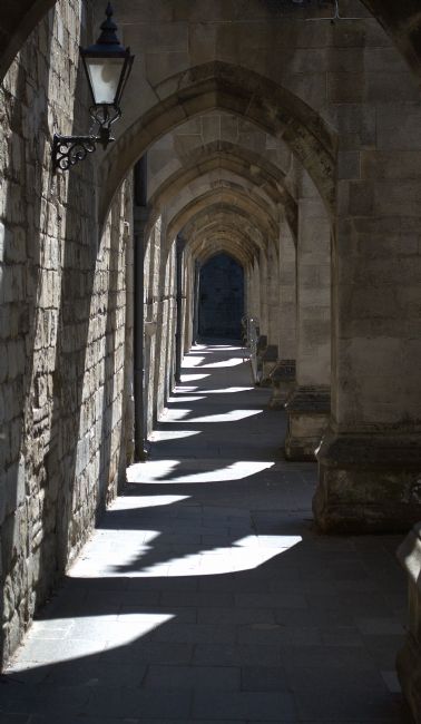 Chris Day | Winchester Cathedral Cloisters of the Inner close