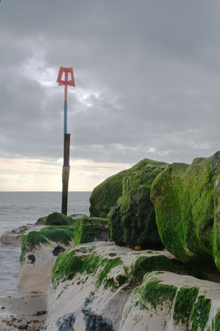 Chris Day | Groyne at Highcliffe