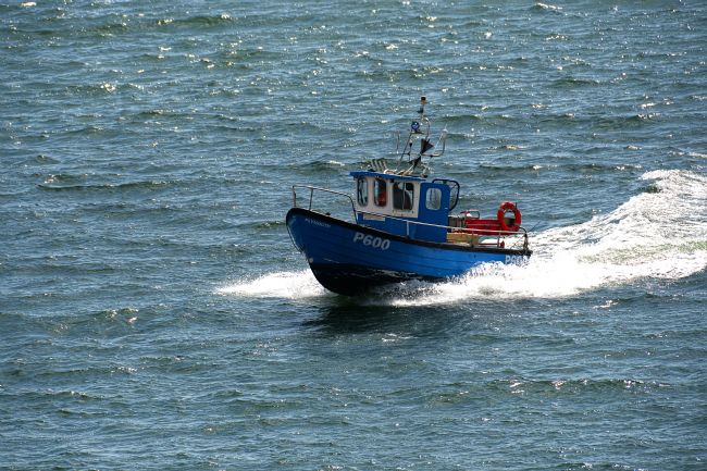 Chris Day | The Carly D