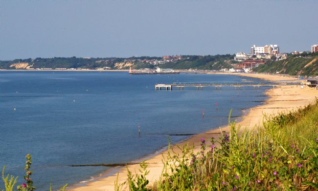 Chris Day | Poole Bay