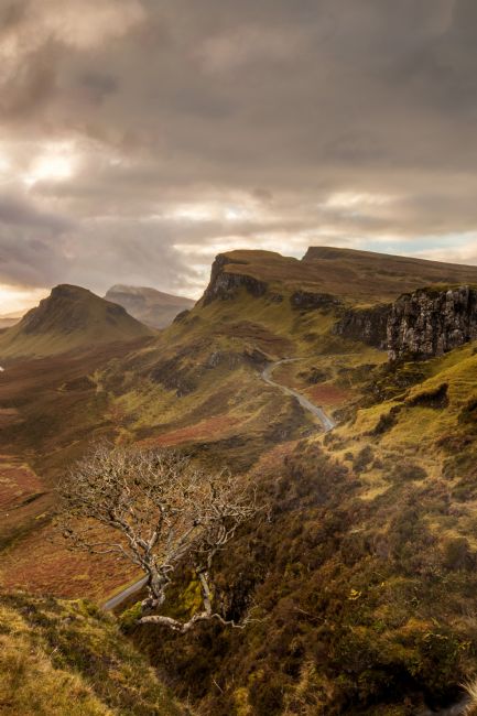 Karl Thompson | QUIRAING TREE, SKYE