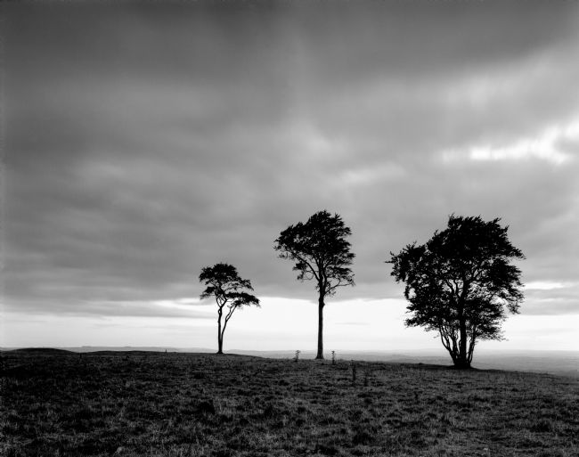 Karl Thompson | Roundway Hill Fort