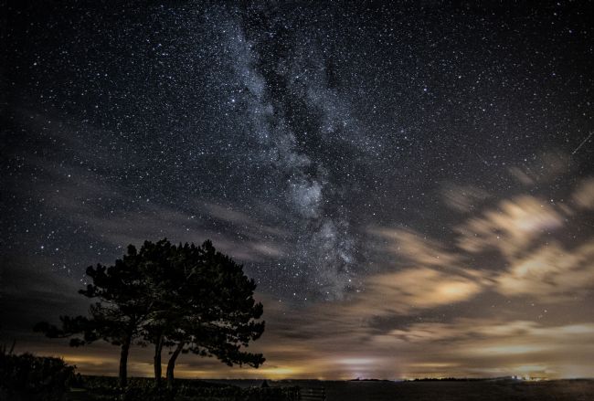 Jennifer Higgs | The Night Sky