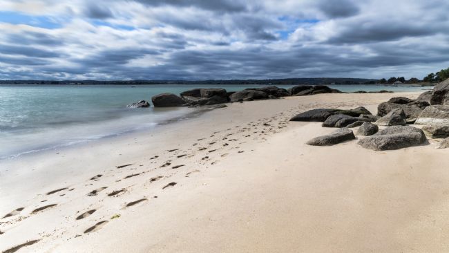 Jennifer Higgs | Footprints