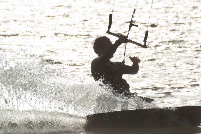 Phil Wareham | Harbour Surfer
