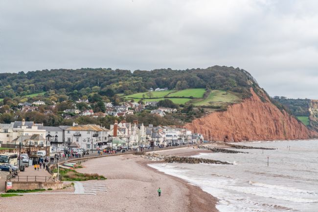 Phil Wareham | Sidmouth