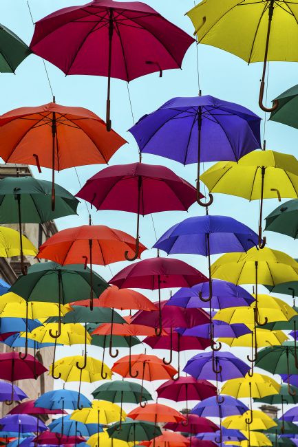 pauline tims | Umbrellas in Bath