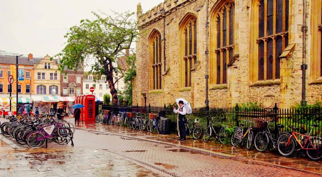 Pauline  Tims | The White Umbrella Cambridge UK