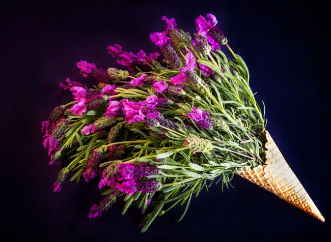 Pauline  Tims | Simply Lavender