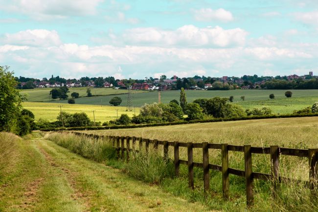 Pauline  Tims | Essex UK