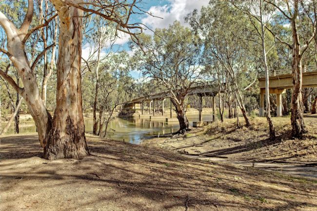 Pauline  Tims | Barmah Bridge , Victoria, Australia