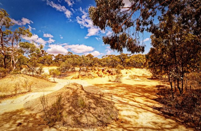 Pauline  Tims | Light and Shadows Gold Mine