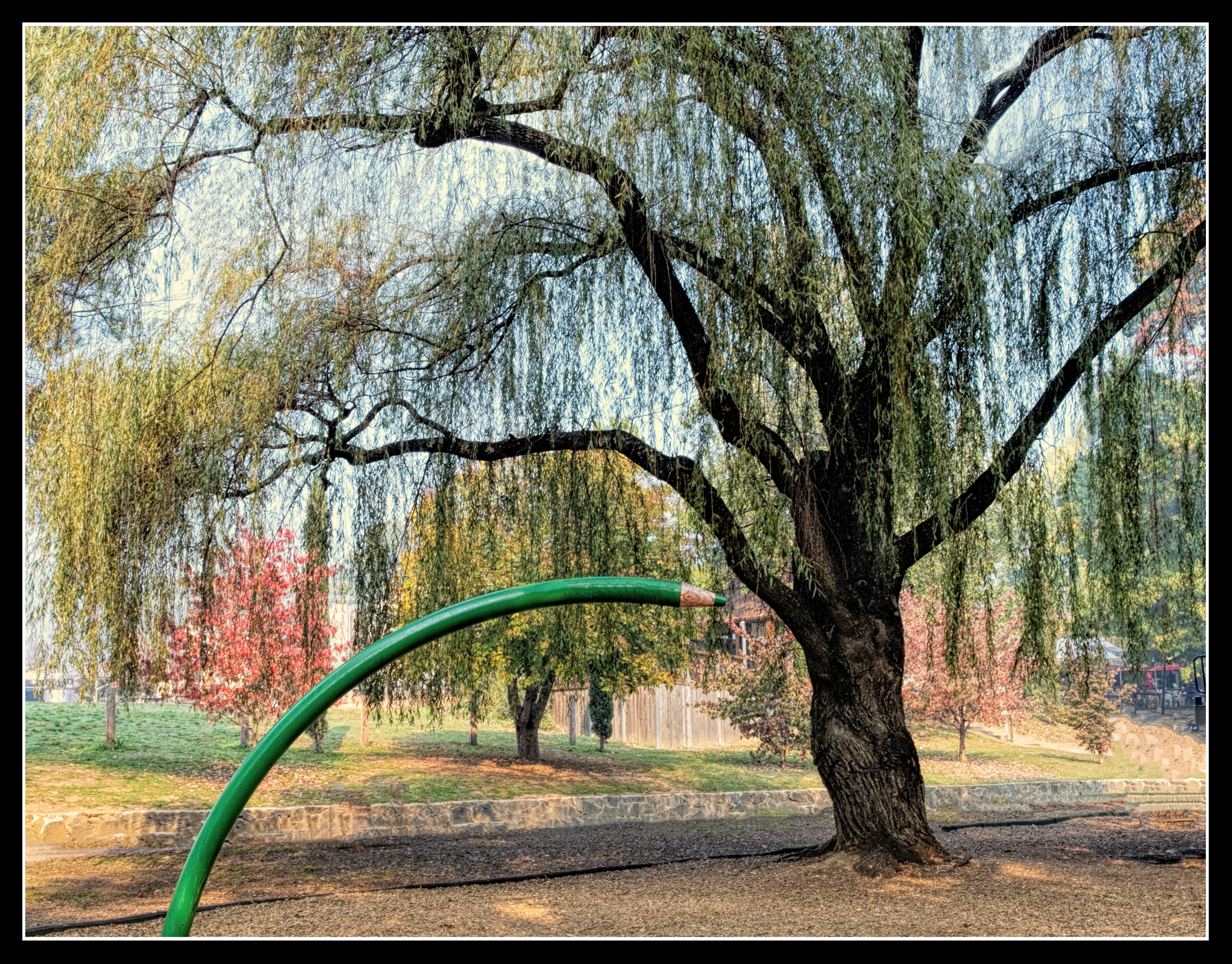 Pauline  Tims | The Green Pencil