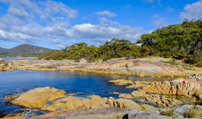 Pauline  Tims | Bicheno Tasmania