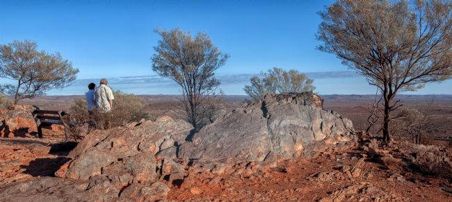 Pauline  Tims | The Living Desert