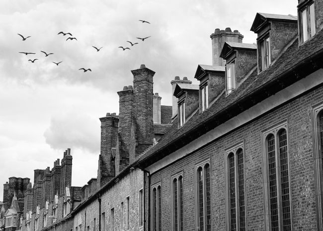 Pauline  Tims | Cambridge Chimneys