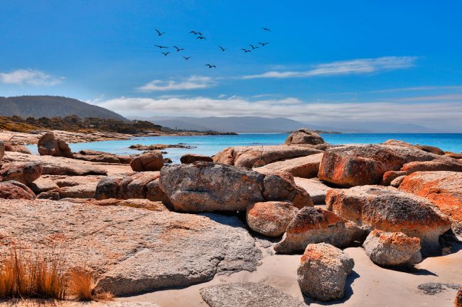 Pauline  Tims | Bay Of Fires, Tasmania