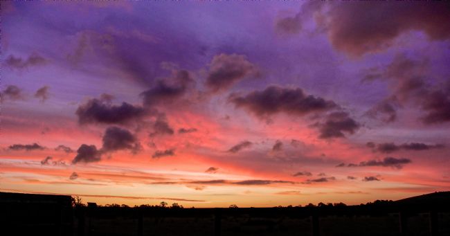 Pauline  Tims | Colourful sunset