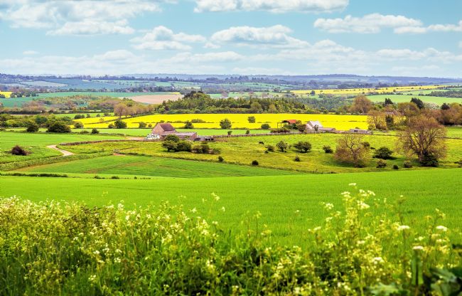 Pauline  Tims | Oxfordshire Landscape